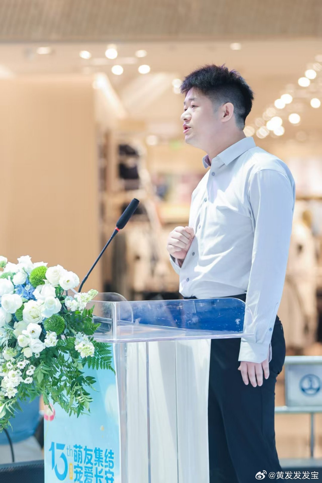 解锁东莞的宠物游玩好去处住在长安的铲屎官别错过！万达十三周年庆福利火力全开，专属