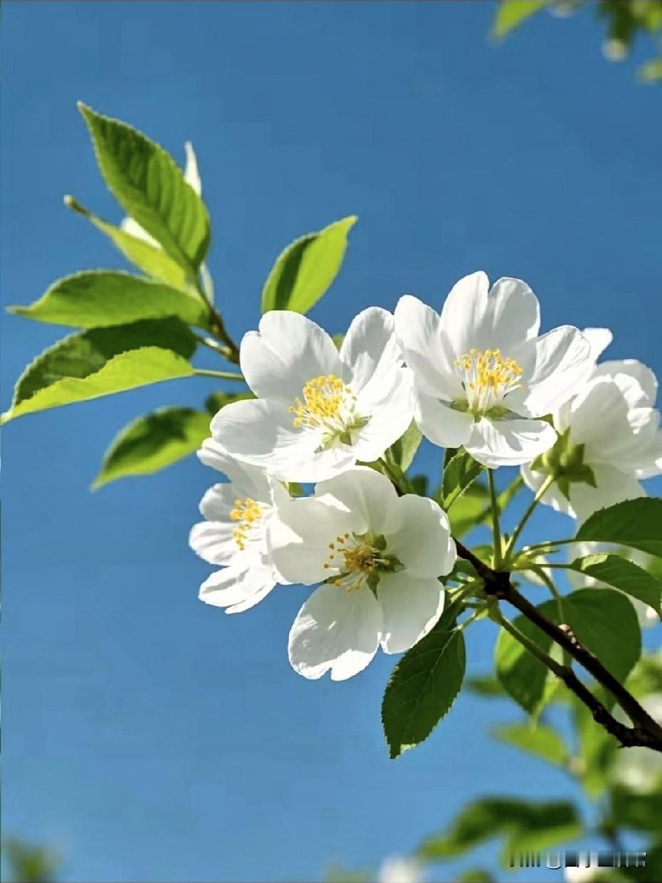 人只有在靠自己时，才会明白一个道理

曾经，你是不是也这样？

难过时想找人倾诉