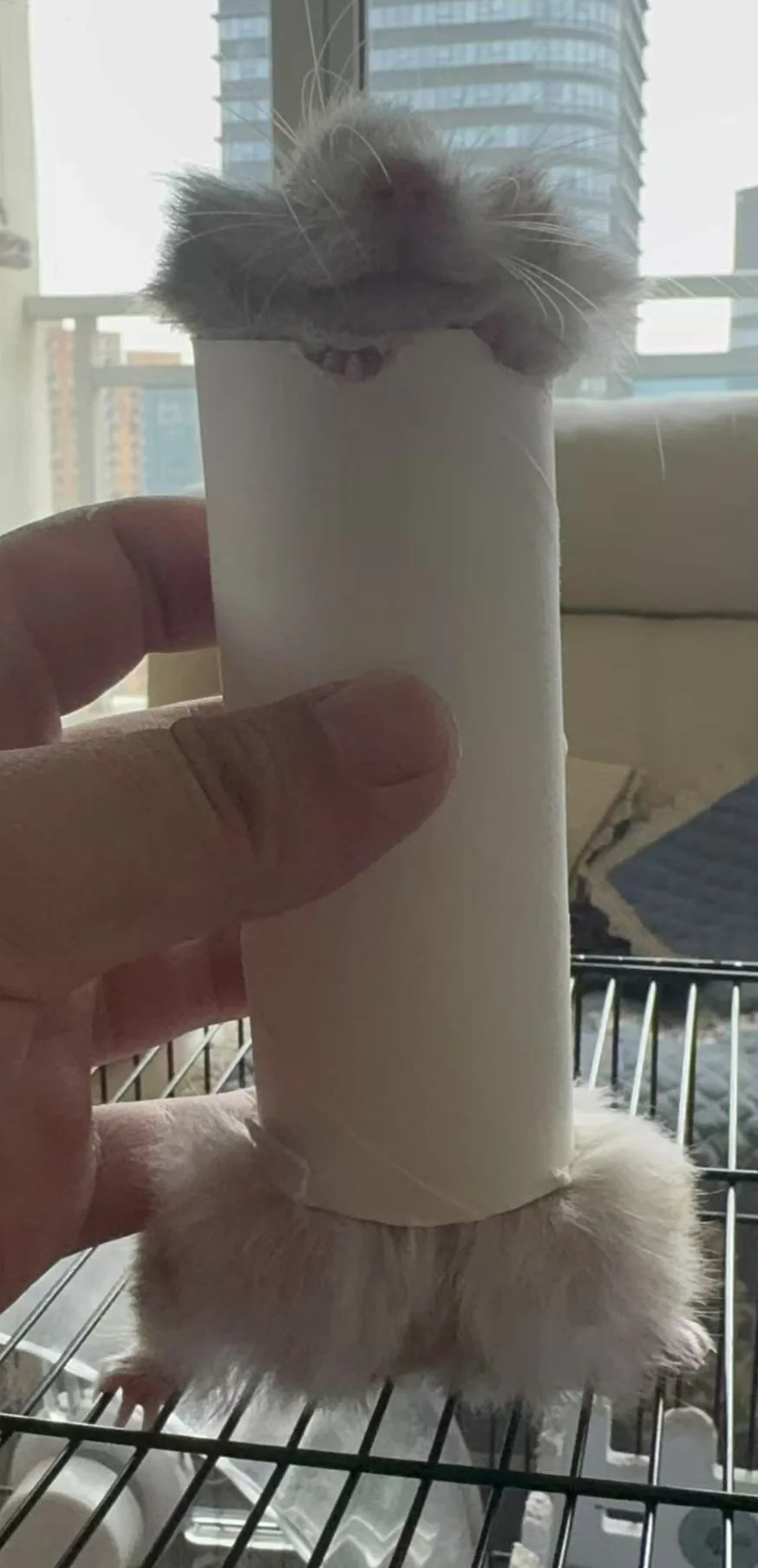 男人是真的不相信女生自愿选择单身