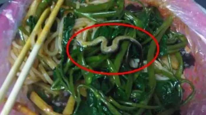 女子螺蛳粉摊吃出蛇南宁女子螺蛳粉吃出蛇，商家冷漠退款惹众怒，事后道歉愿百倍赔偿，