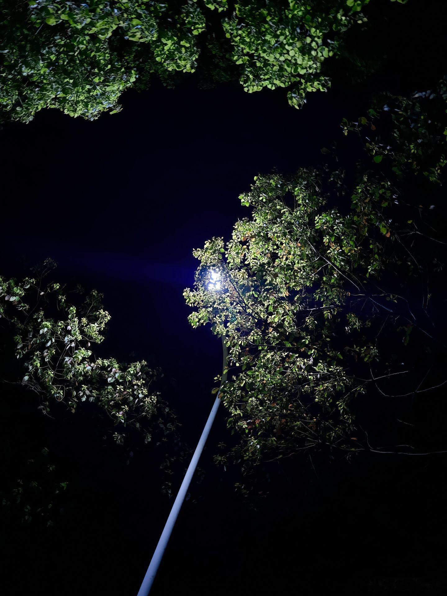 随手拍“我不愿把委屈说出去， 我没有靠山， 更不想 影响别人的心情，我没有不开心