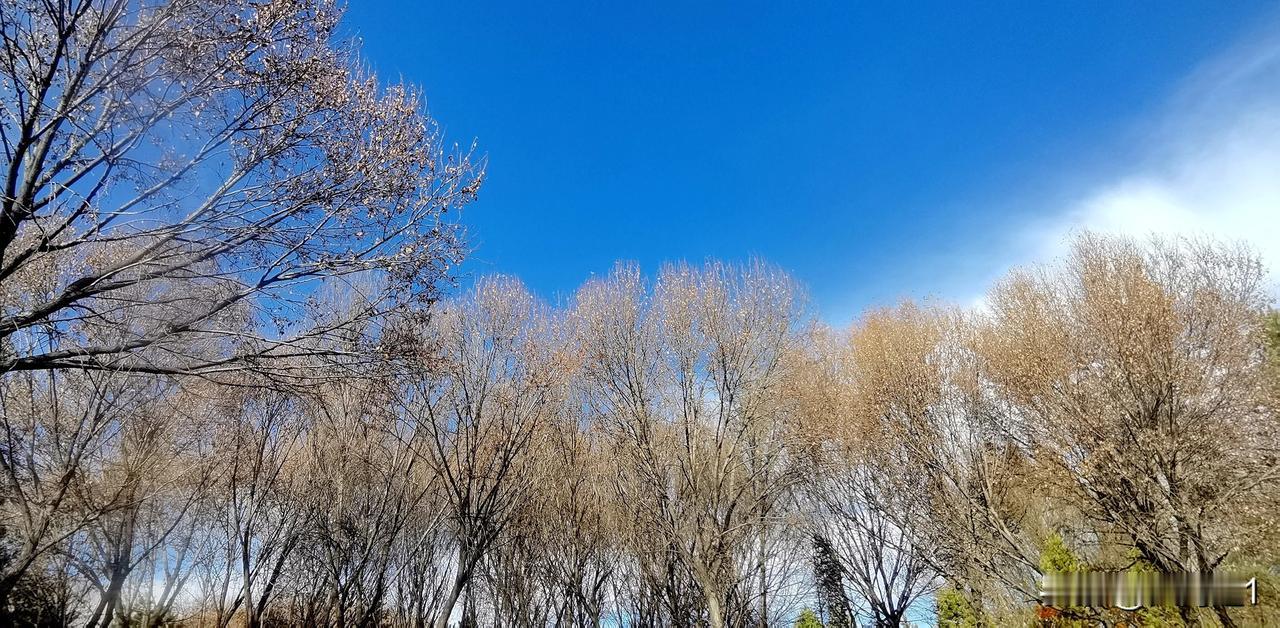 #秋日生活打卡季#（原创）
镜头记录生活   秋冬之季
#秋冬美景手摄# #原创