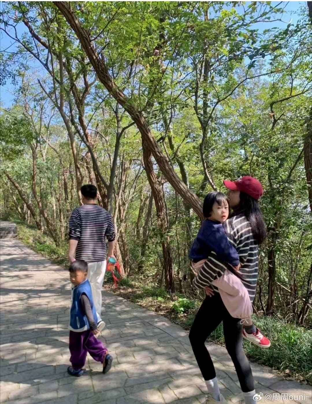 想不到吧！3岁4岁的小孩体能竟然这么厉害 自己就能爬到山顶 小小紫金山轻松拿捏他