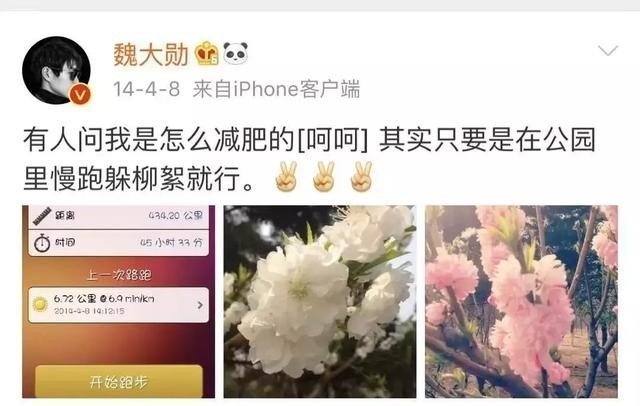 怎么会有慢跑躲柳絮这么浪漫又蹦蛋的说法🥹🤧 ​​​