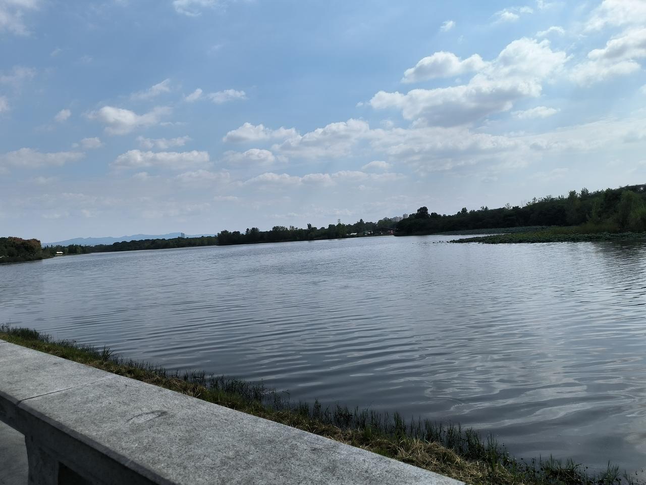 婆家的家族群里
天天都是狗屁倒灶的事
每天大姑子，小叔子
还有些七大姑八大姨的