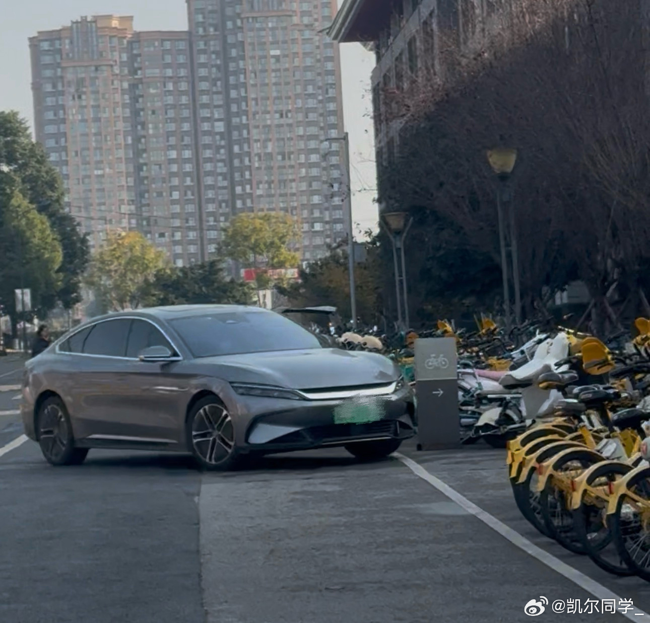 最近逛大学校园发现个现象：高校教师信赖比亚迪，校园里比亚迪越来越多了。大学老师这