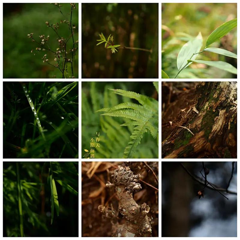 看到“一山一水一风景”这个上联，感觉它营造出一种超有意境的画面，简洁又有韵味。我
