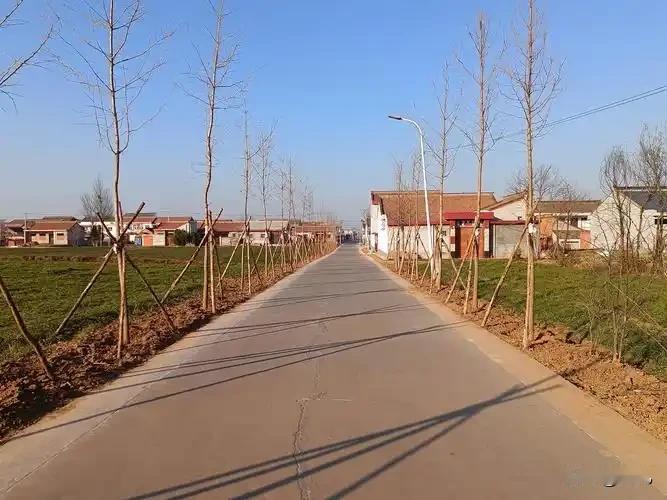 农村成了年轻人撒野的地方。
     现代化的农村文明美丽。年轻人打扮时髦，生活