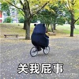 软熊热聚娱乐