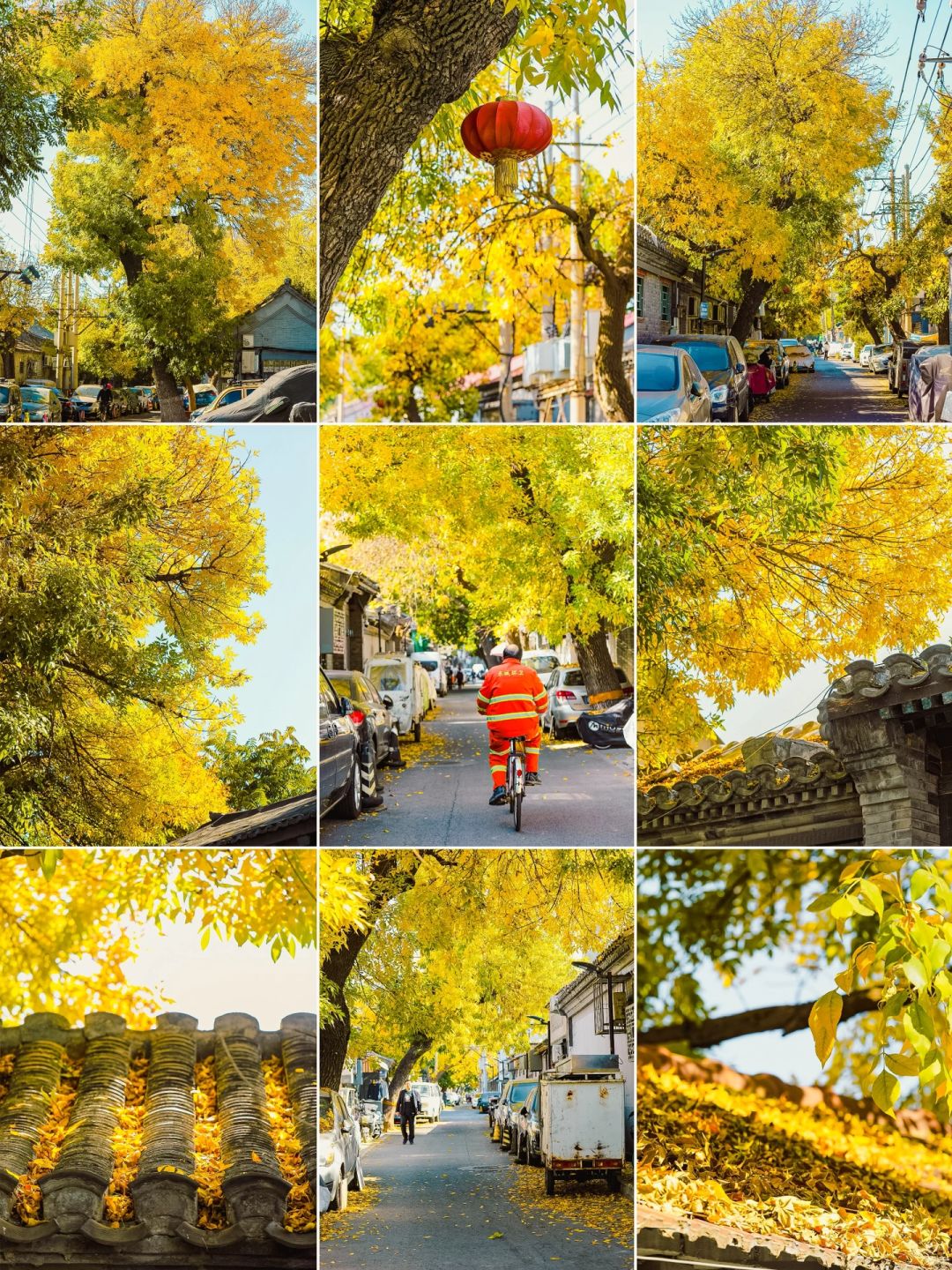 10.27实拍✨北京小众胡同已美成一幅画
