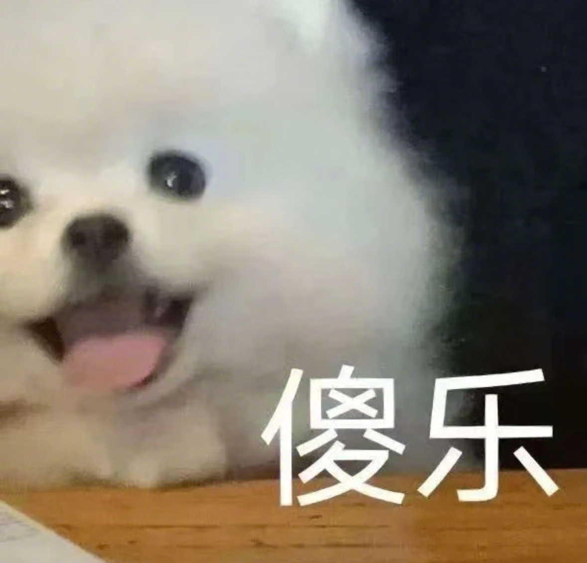 #哈尔滨的兄弟城市坐不住了#自己的普通固然可怕，但别人的成功更让人揪心！沈阳文旅