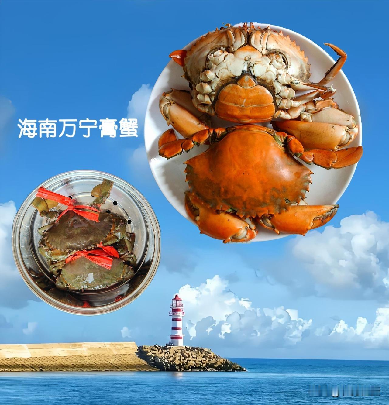 海南万宁，
农贸市场之中，
卖蟹之人将其称作膏蟹。

膏蟹皆为母蟹，
售价一百三