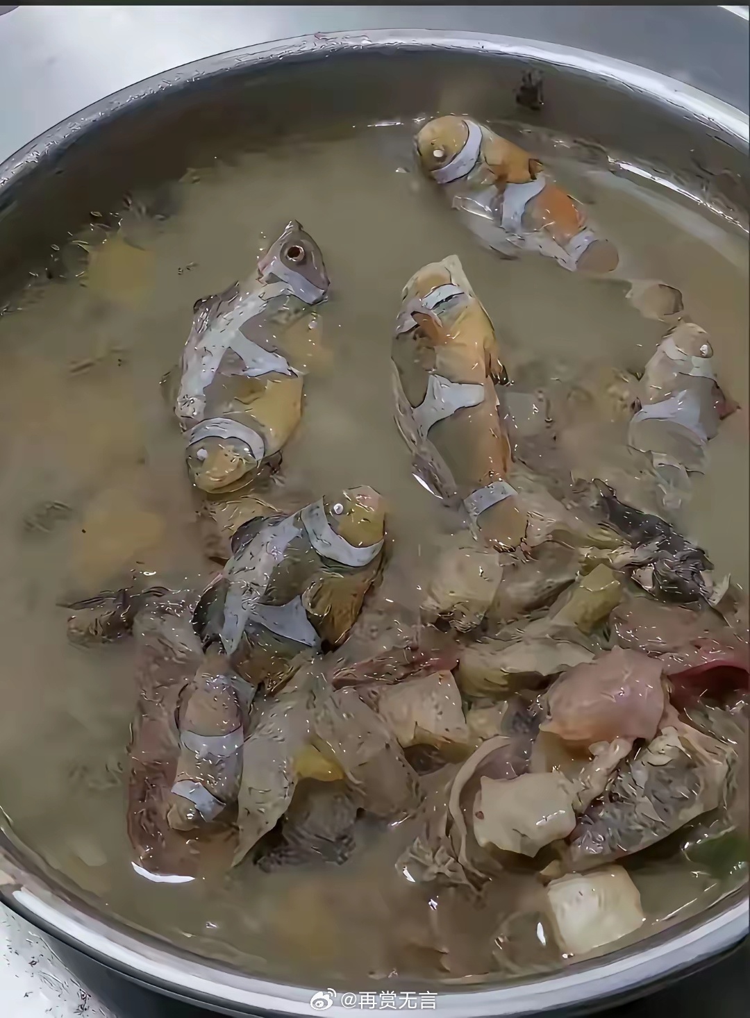 给老婆做的月子汤，这道鲫鱼煲汤她居然不想吃。 