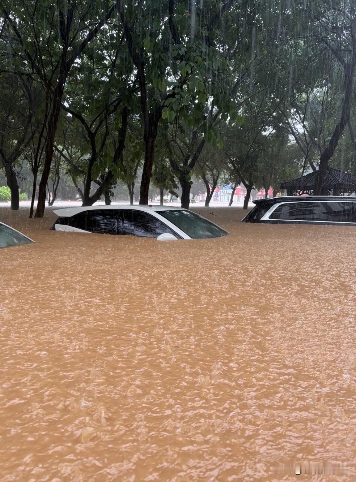 想问问，车被雨水泡成这样保险公司会理赔吗？