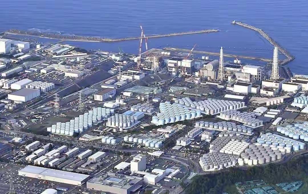 刷到那些截图的时候手是真的凉。2026年7月，日本网上蹦出来一群人嚷嚷要把核辐射
