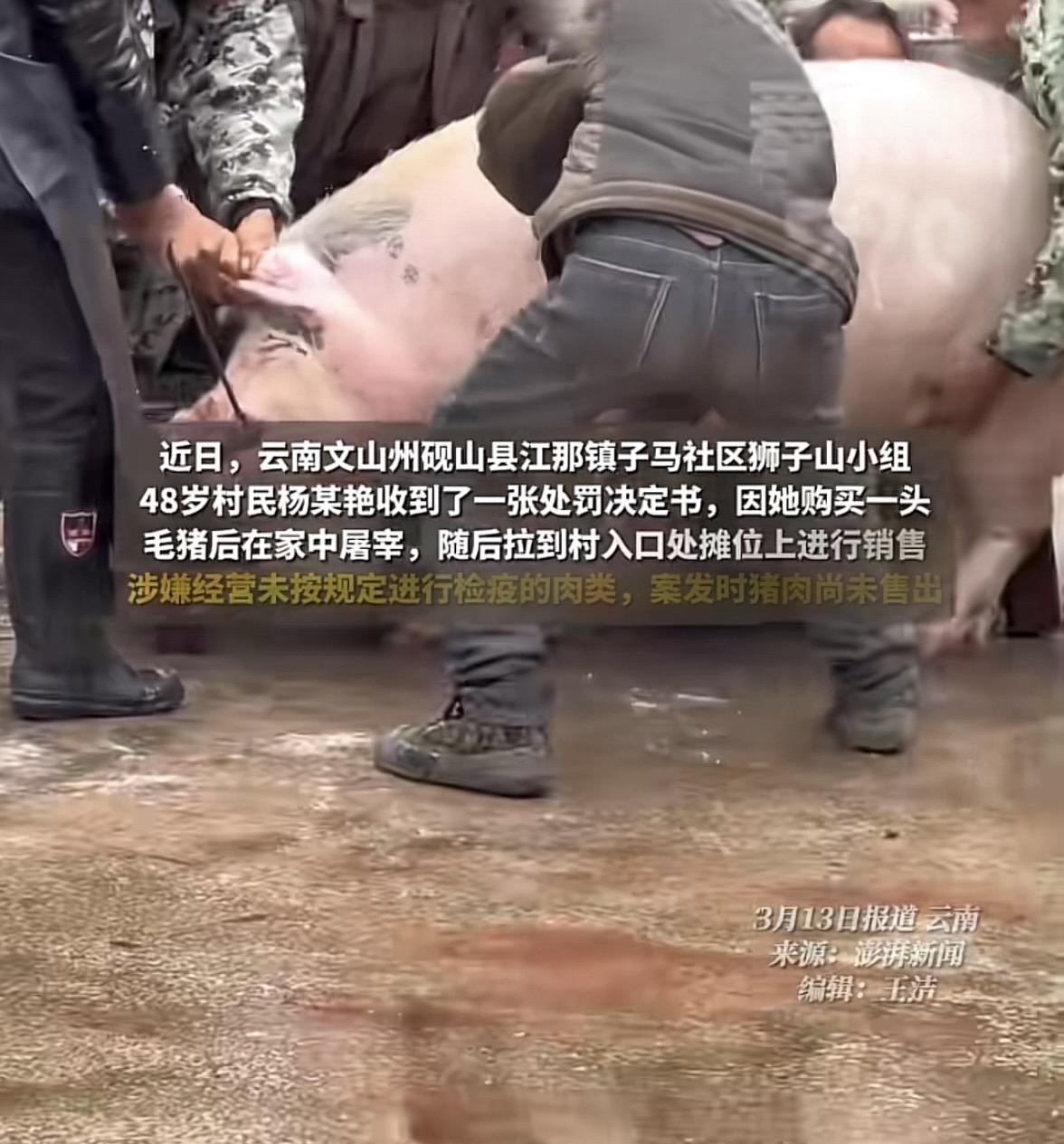 云南，女子买了头毛猪，在家里宰完，她自留了16斤，剩下的340多斤则拉到摊位上，