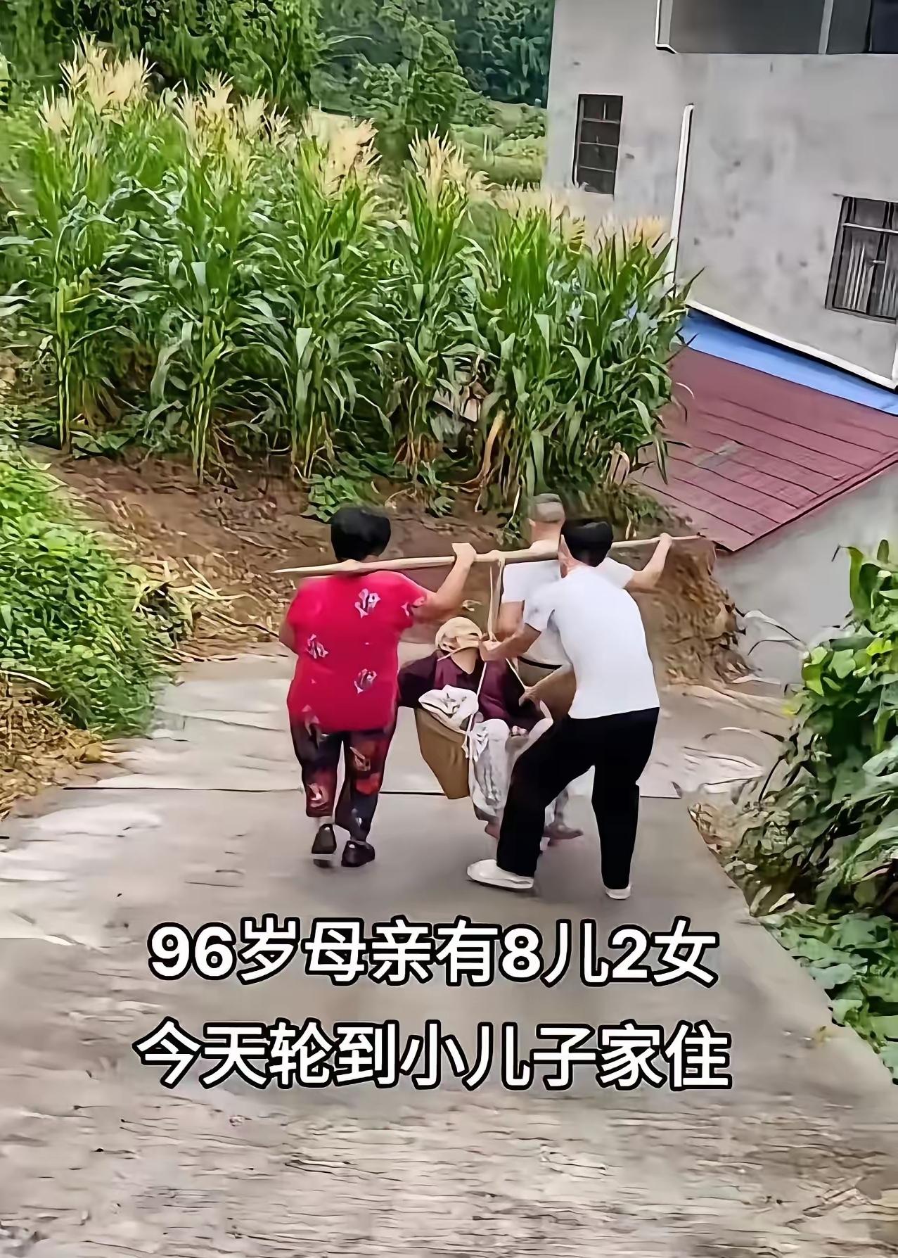 全网吵翻！93岁老人育有10个子女，轮到小儿子赡养，

竟然用竹箩筐挑着接老人回