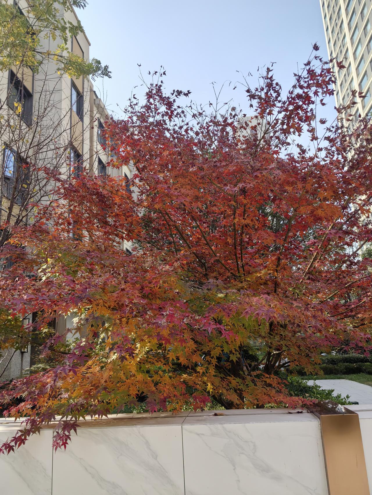 我被扣了45分，我的权益也被冻结。
我多久信用分才可以恢复到100
有什么方法和