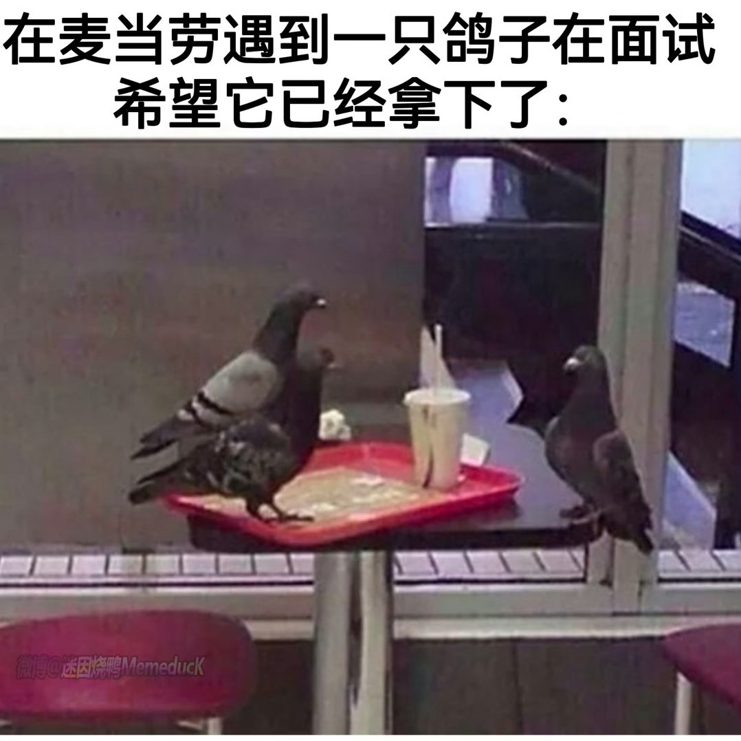 接offer 