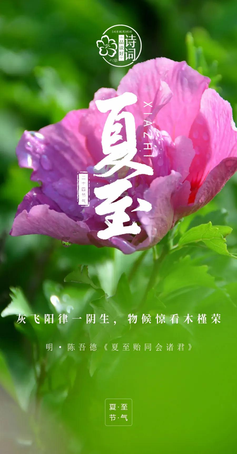 今日夏至：流光夏至，美好日长！

夏至是夏天的第四个节气，一年中白昼最长的日子，