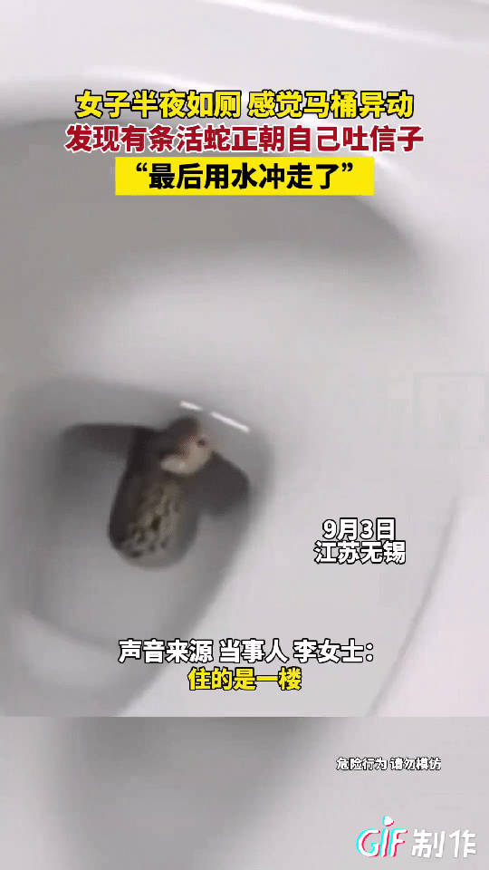 江苏无锡一女子深夜去如厕所却发现厕所下面有异响，她低头一看，竟然看到一条蛇在厕所