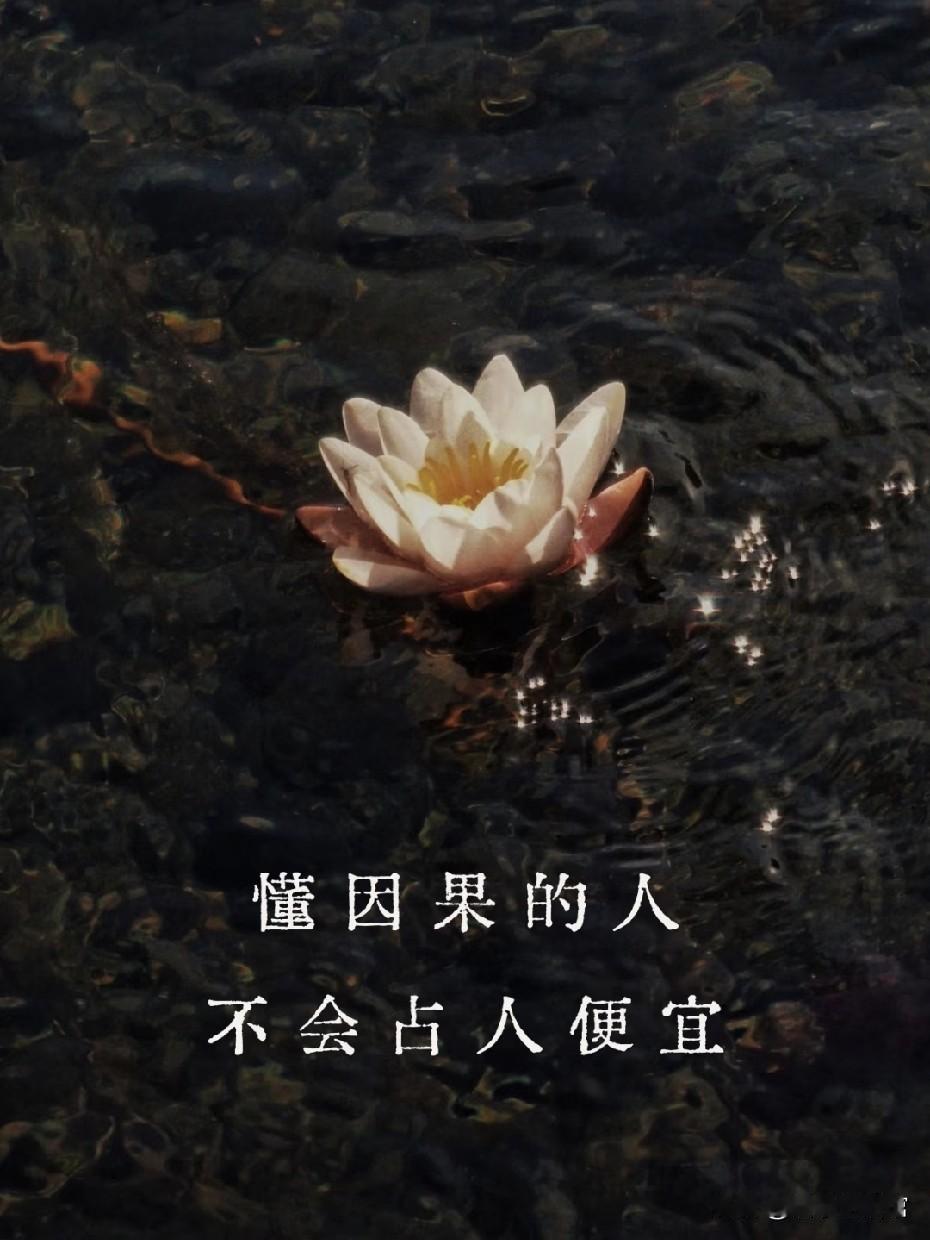 因果最公正的定律：渡人终渡己，欺人必自损！
 
世间最公平的法则，不是强弱输赢，