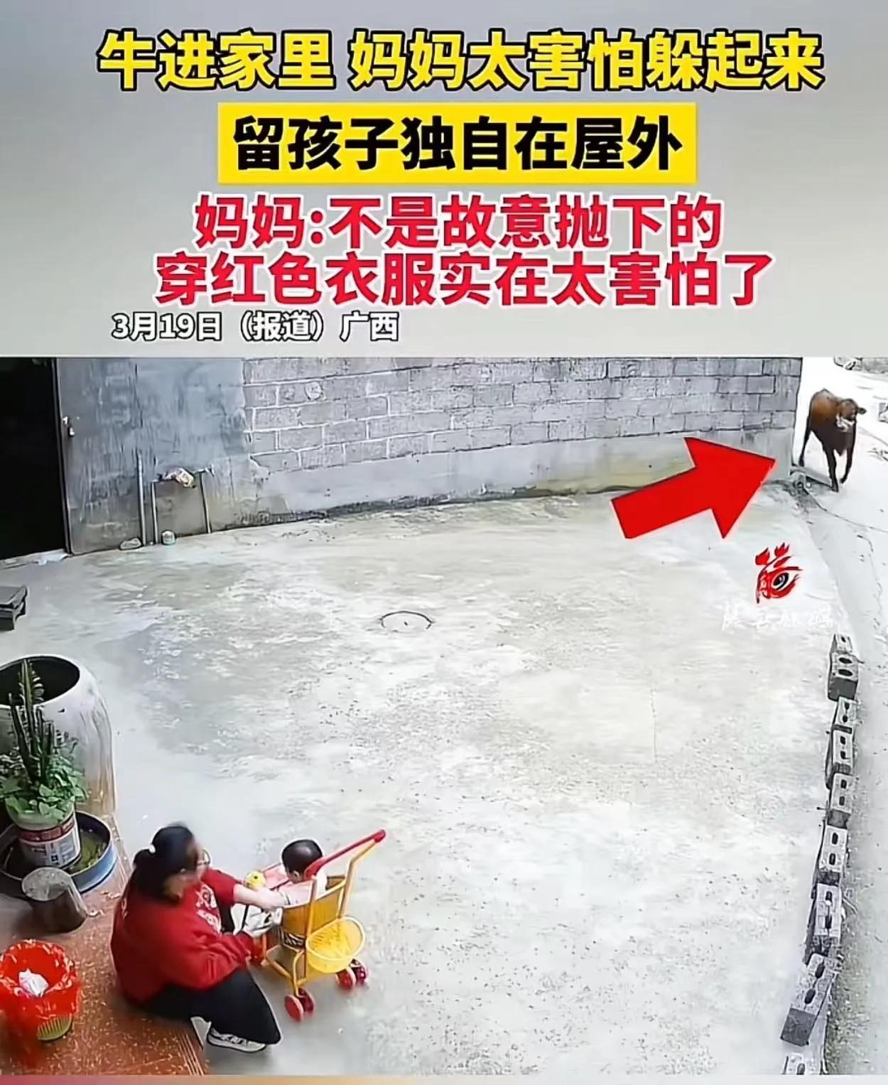 “不是故意抛下的！”妈妈遇牛丢下孩子跑进屋，一句解释却扯出几个法律问题

来源：