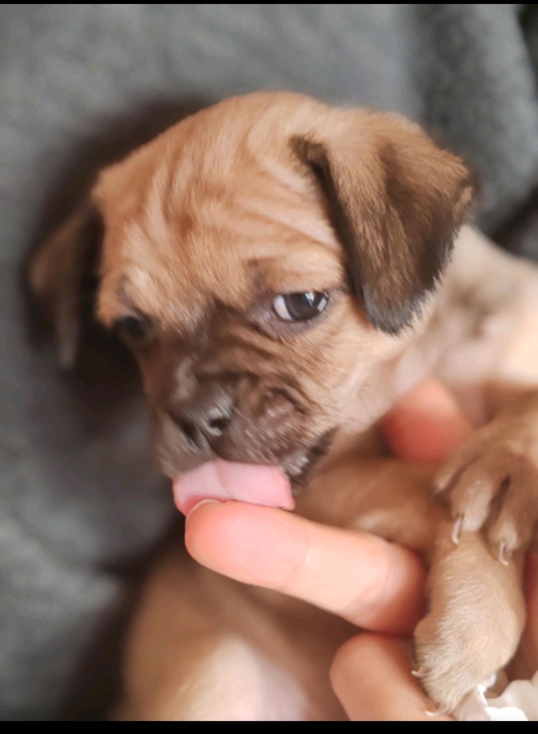 男人不怕掏彩礼，只是希望女人能够类似于“胖东来”模式，让男人觉得物有所值，货真价