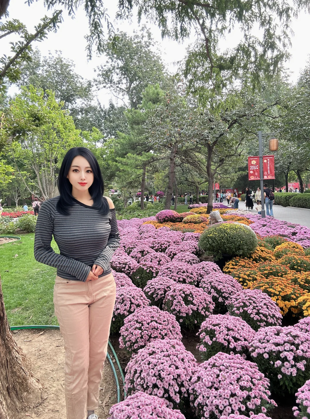 🌼日坛公园秋日免费赏菊花，保姆级攻略来啦～