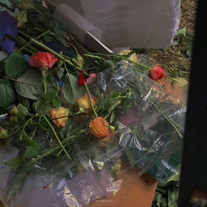 杨绛说：“我不争，不代表你可以抢；我善良，不代表我好欺负；我能理解，不代表我可以