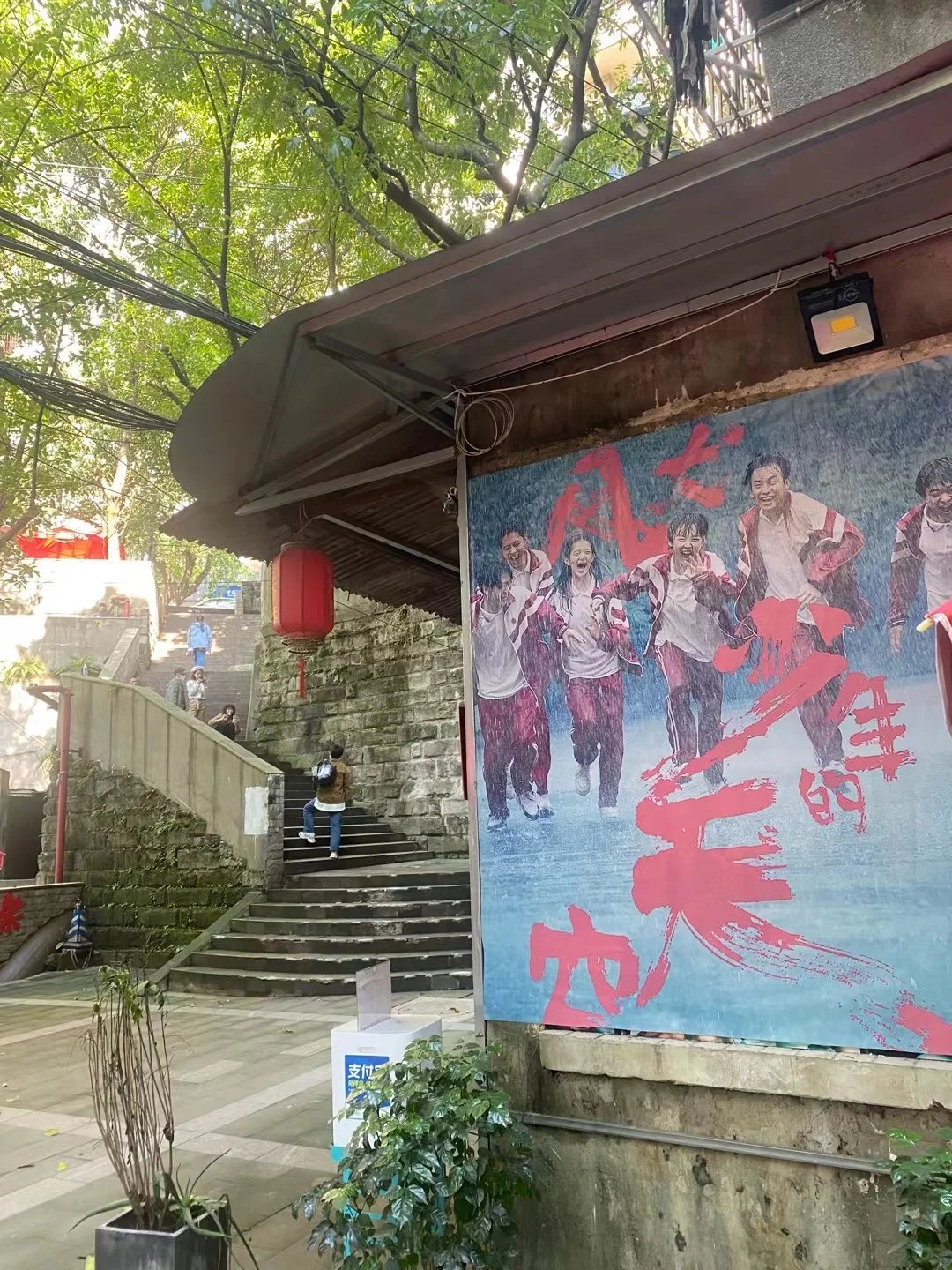 打卡风犬少年的天空取景地；狗哥的家