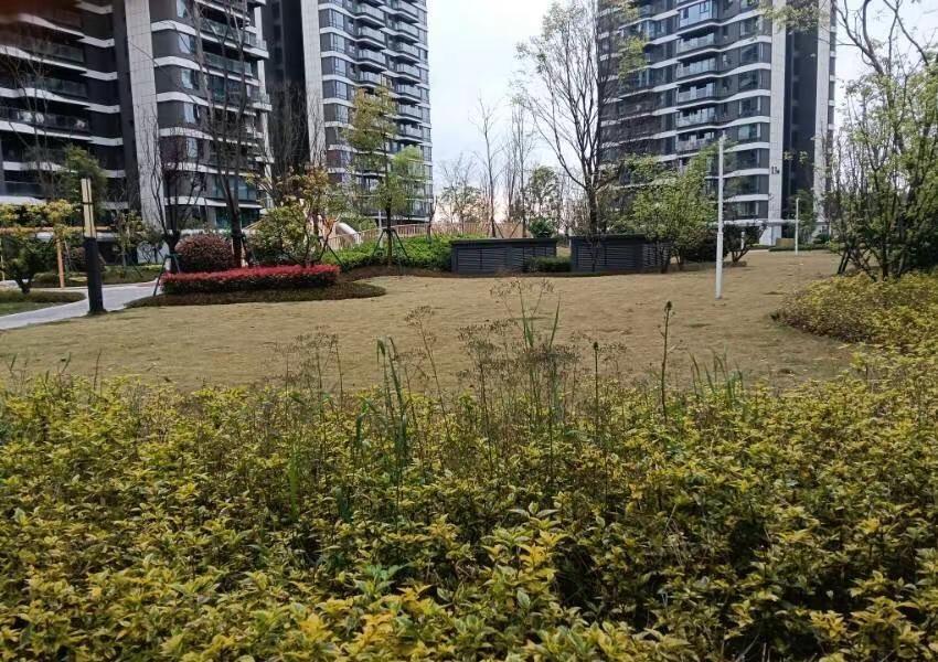 这就是华西悦湖