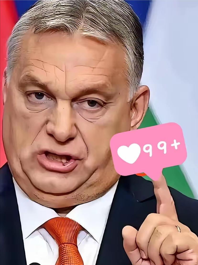 匈牙利宣布了！

1月5日，匈牙利总理欧尔班5日表示，在当前国际政治格局深刻变化