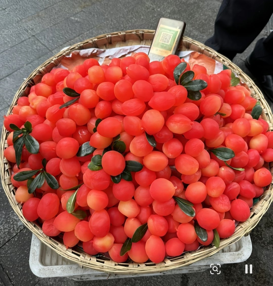 来嘛，我请你吃水果，吃了IQ可以高达一百八的那种[流鼻血] ​​​