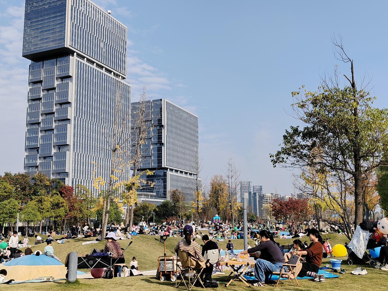 《冬日蓉城记趣》

当罕见的冬日暖阳叩问蓉城，整座城市便像被打开了某种温柔的开关