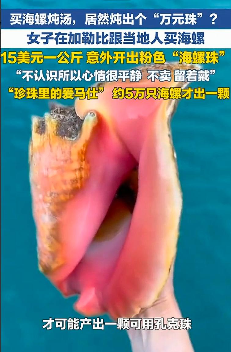 实在太幸运了！女子花15美元买海螺回家炖汤时，切开外壳，一颗圆润粉色珠子滚落桌面