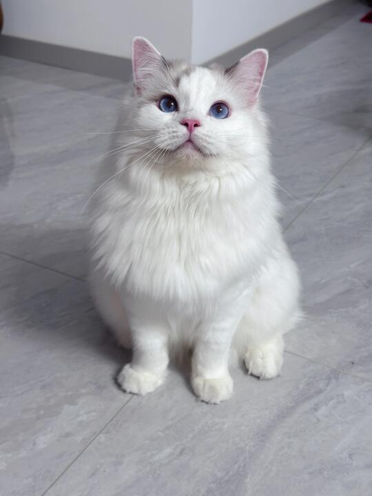 她真的好像个小宝宝
