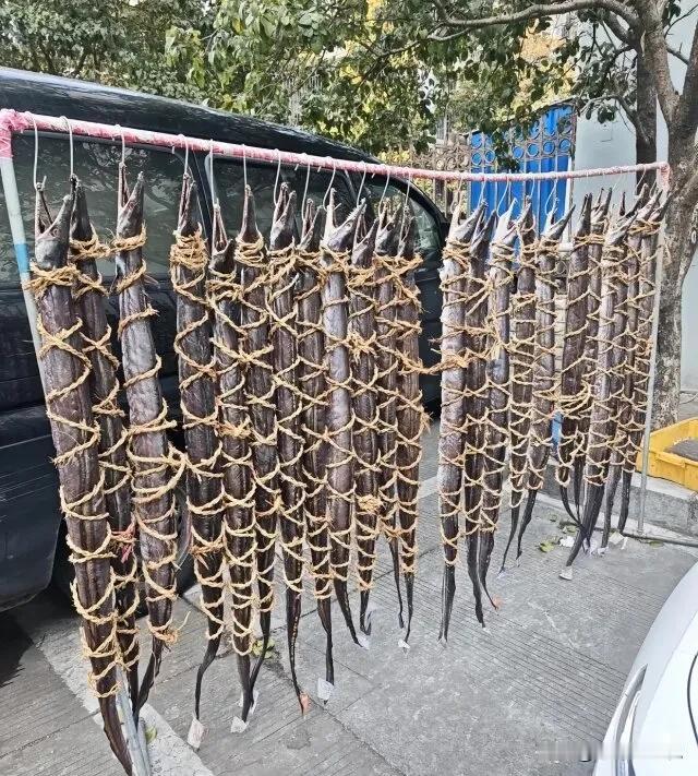 主人家这富炫得……我竟然哑口无言！[捂脸][捂脸]