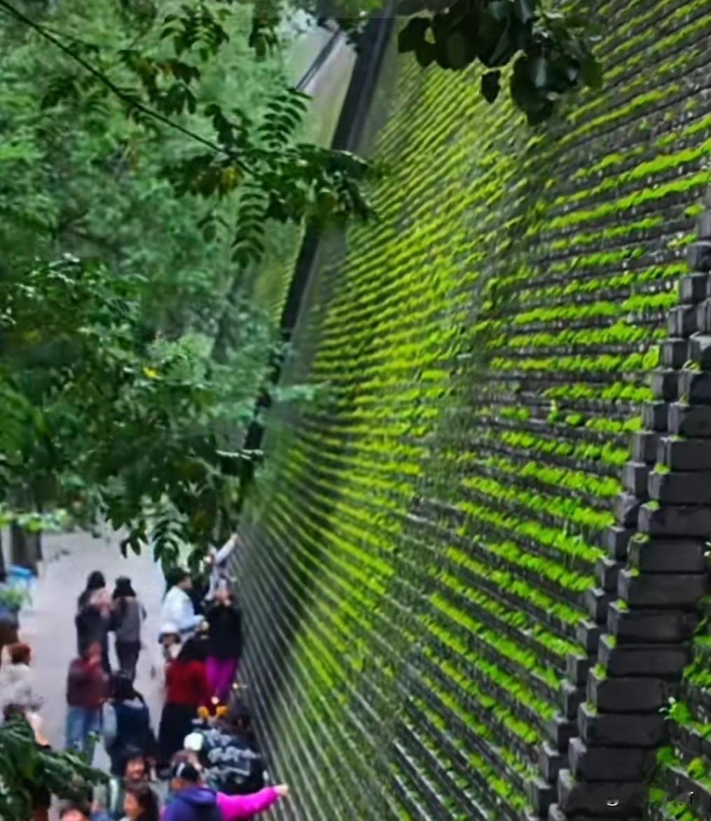 加拿大“铁了心”，和美方杠上了！

加拿大总理不顾美方100%关税的威胁，允许每