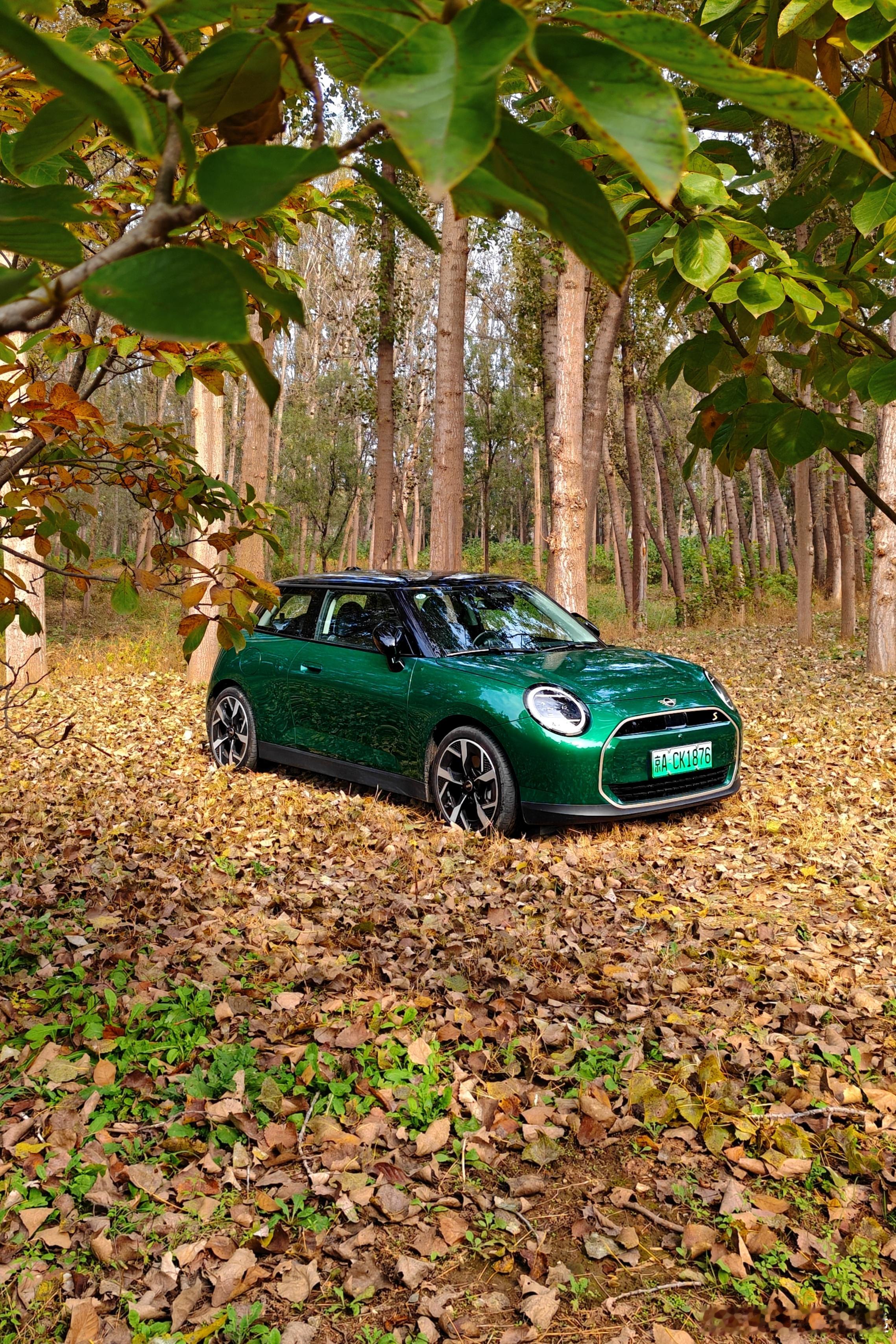 最近开的最开心的一台试驾车纯电MINI真的是把“情绪价值”四个字做到机智了，和大