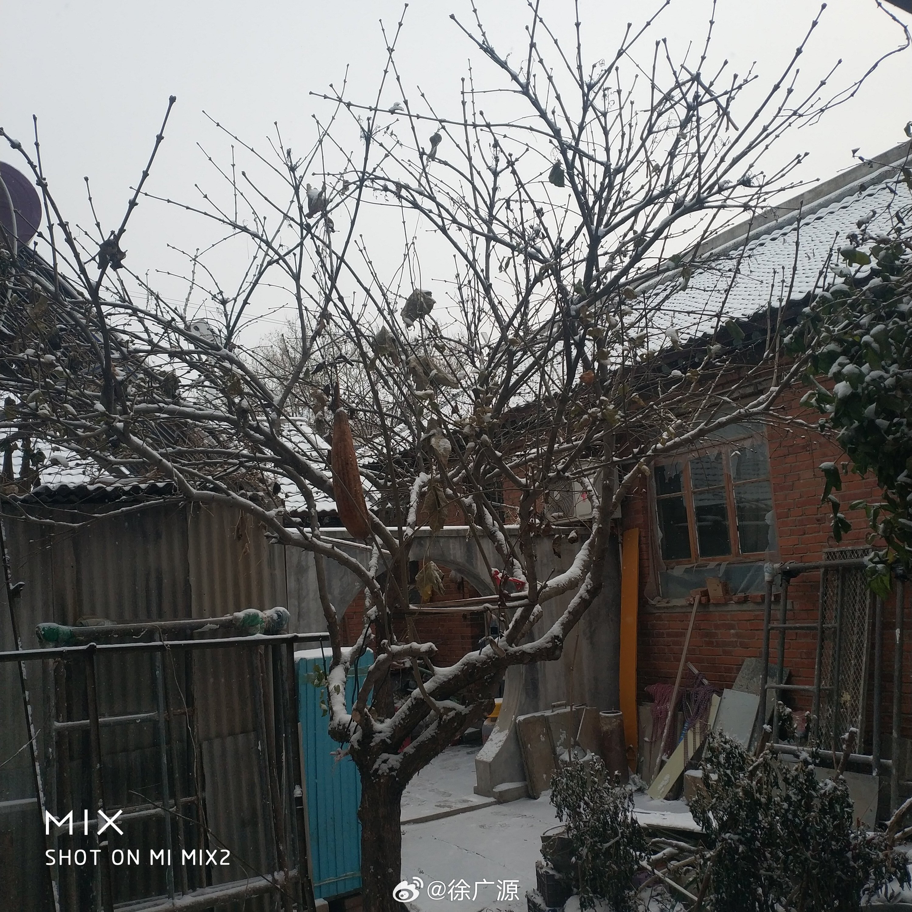 今冬第一场雪。雪不大，只二三厘米厚。 ​​​