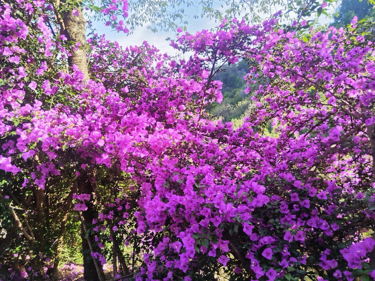 看不够的风景