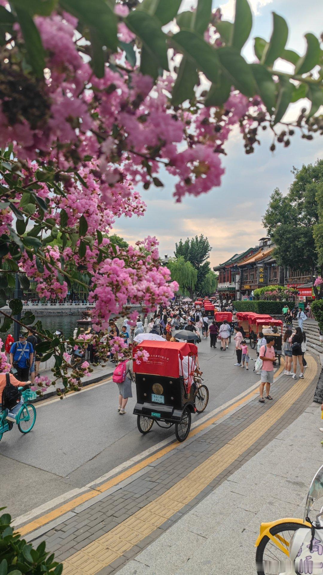 北京 什刹海的夏天  摄影​​​