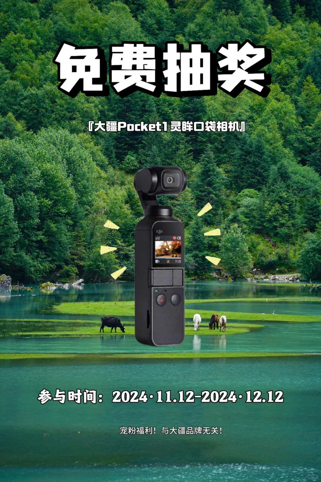 11月宠粉福利‼️大疆Pocket1相机📸免费送❗️