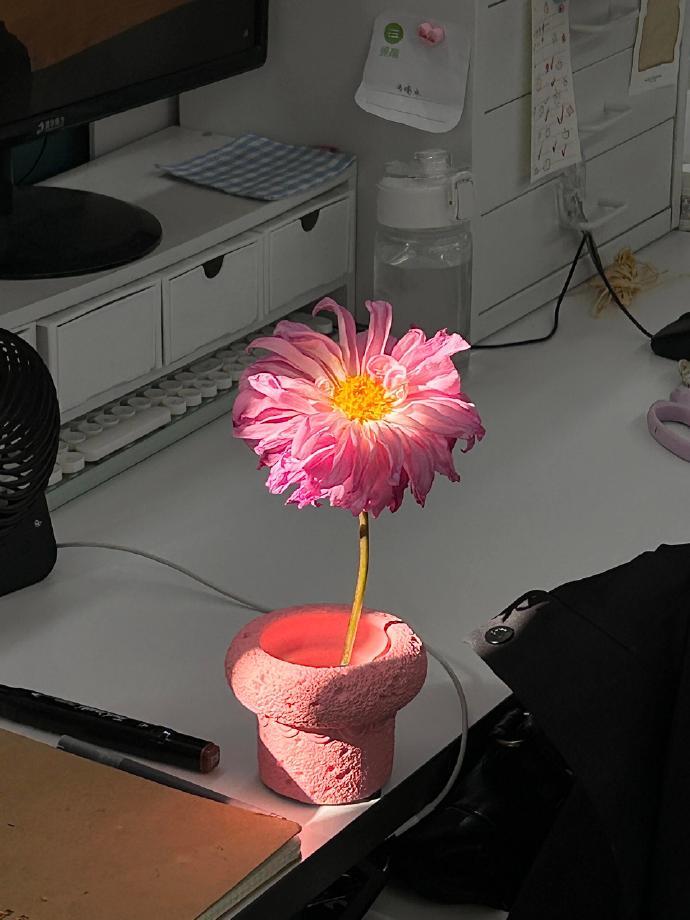 养到了最小单位的烟花！ ​​​