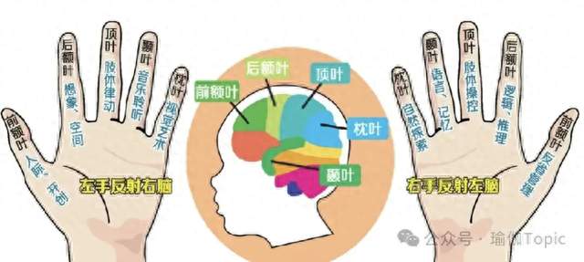 晨练5分钟=养肝+健脑？这套虎爪功火出圈公园大爷大妈都在偷偷练