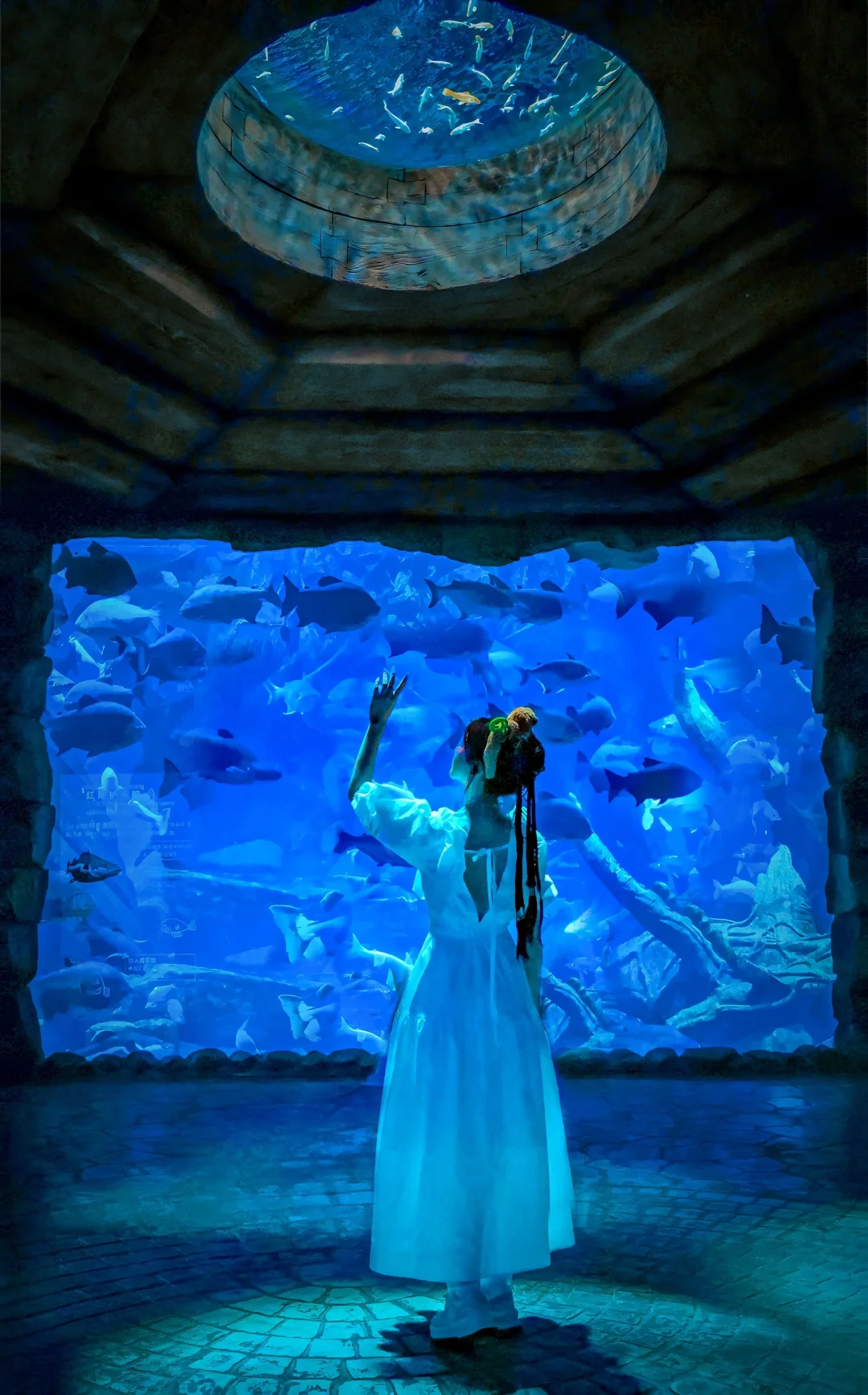 迄今为止，让我最震撼的动物园出现了❗️