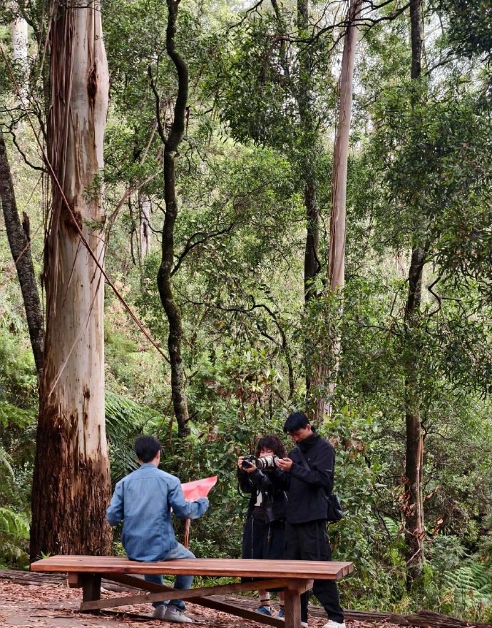 偶遇王俊凯墨尔本爬山网友偶遇王俊凯爬山 王俊凯去爬山了 