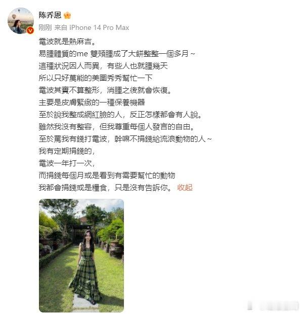 陈乔恩否认整容   陈乔恩回应争议  陈乔恩回应争议否认整容，姐姐超级好 