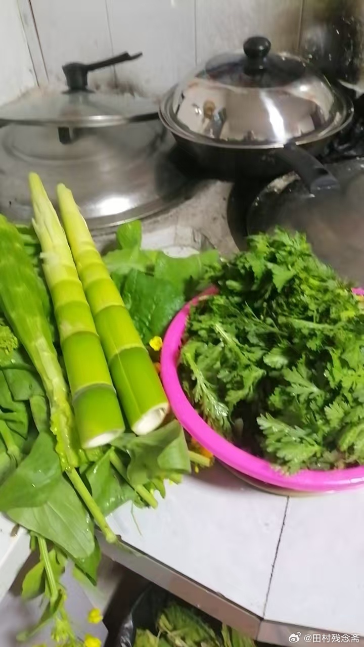 冒个头，国家队比赛日是真的没啥想说的，而且又不是意大利粉丝，所以就不多聊了……当